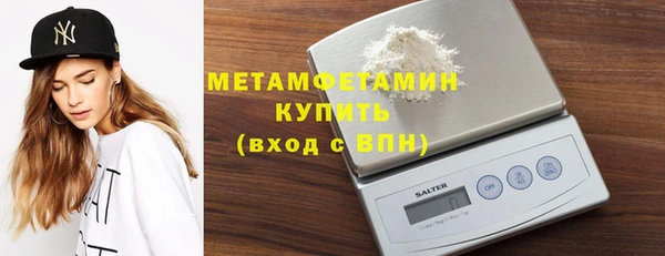 сатива Бородино