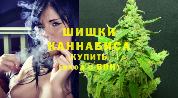 сатива Бородино