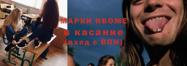 сатива Бородино