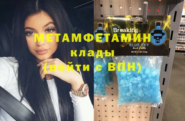 сатива Бородино