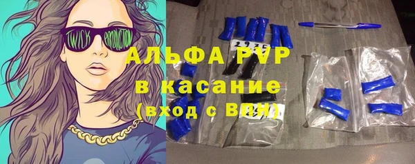 сатива Бородино