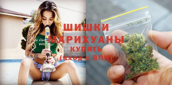 сатива Бородино