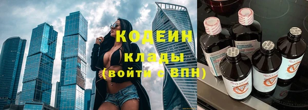 сатива Бородино