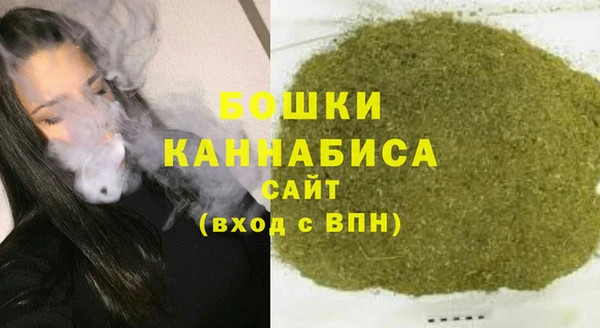 сатива Бородино