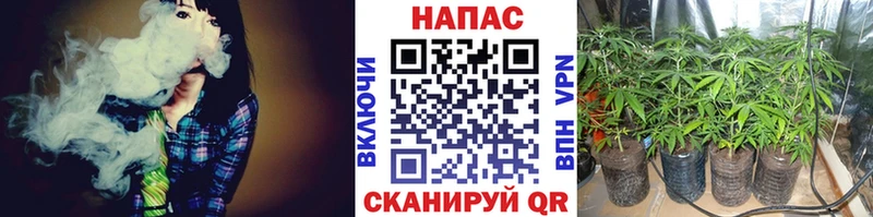 Каннабис семена  Купить  Моршанск 